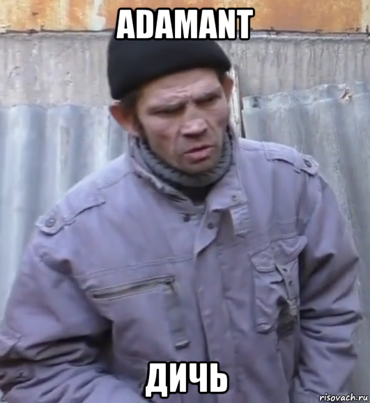 adamant дичь, Мем  Ты втираешь мне какую то дичь