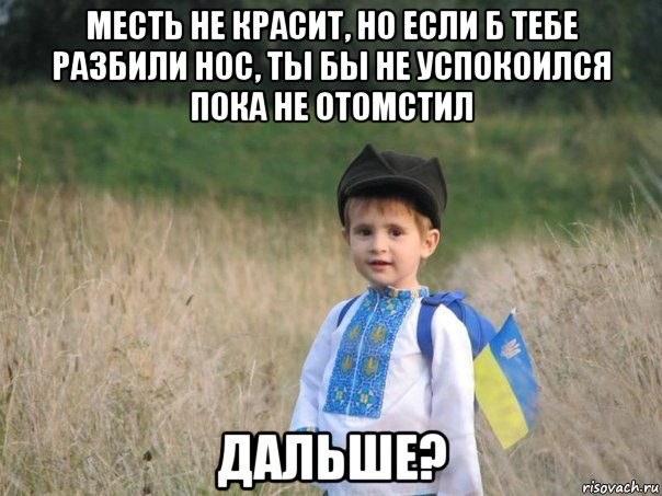 месть не красит, но если б тебе разбили нос, ты бы не успокоился пока не отомстил дальше?, Мем Украина - Единая