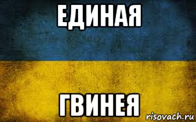 единая гвинея, Мем Украина