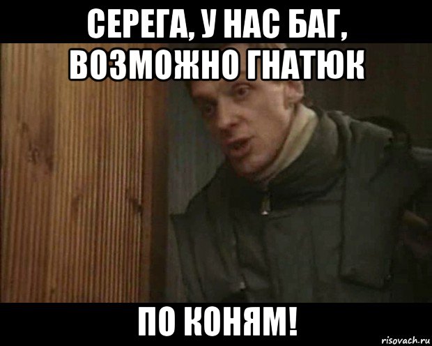 серега, у нас баг, возможно гнатюк по коням!