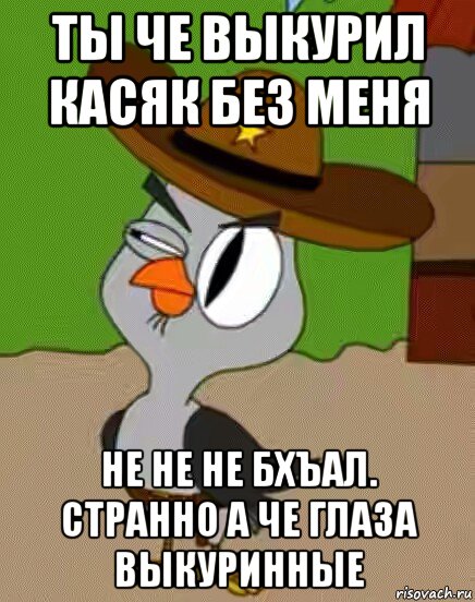 ты че выкурил касяк без меня не не не бхъал. странно а че глаза выкуринные, Мем    Упоротая сова