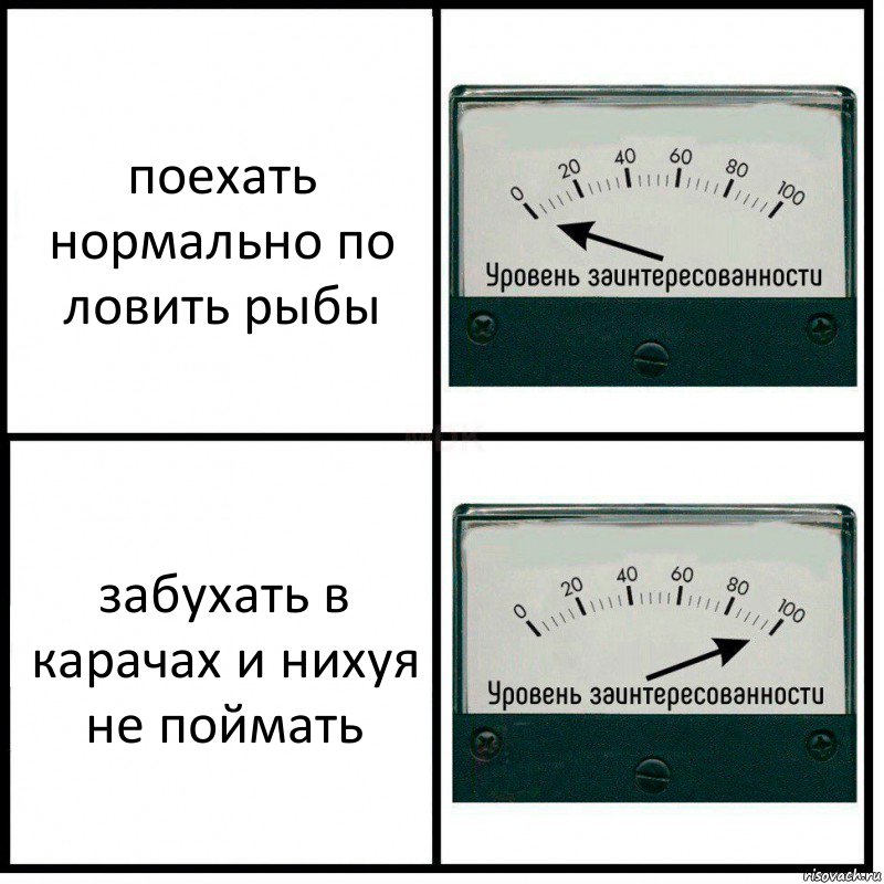 поехать нормально по ловить рыбы забухать в карачах и нихуя не поймать