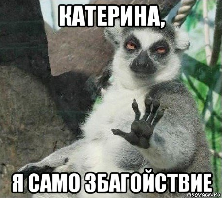 катерина, я само збагойствие, Мем Все будет збагойно