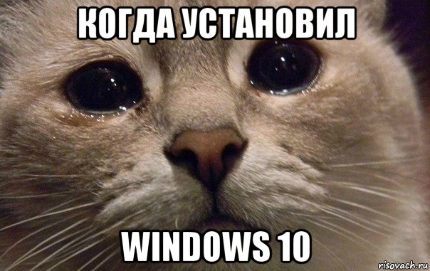 когда установил windows 10, Мем   В мире грустит один котик