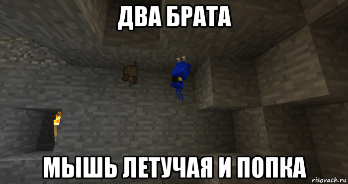 два брата мышь летучая и попка, Мем В