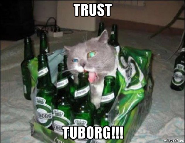 trust tuborg!!!, Мем Вафля