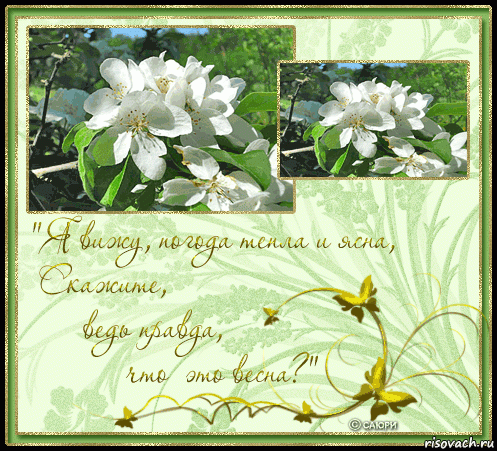  ________________________________________________________________________________________________________________________________________________________________________________________________________________________________________________________________________________________________________, Мем Весна - теплая погода