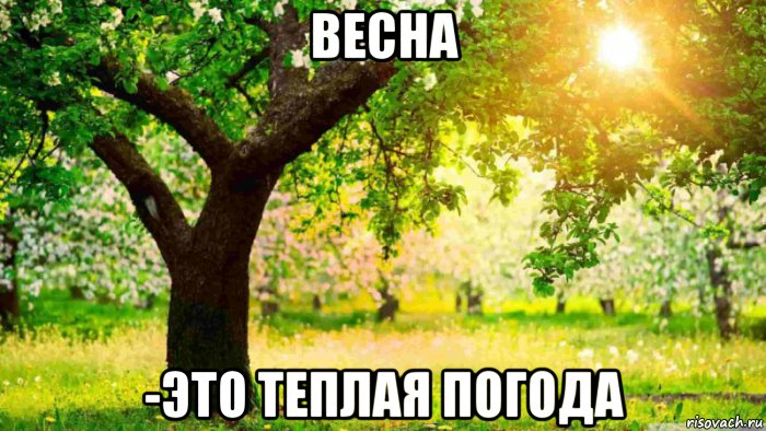 весна -это теплая погода, Мем Весна - теплая погода