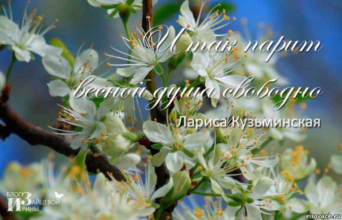 _____________________________________________________________________________________________________________________________________________________________________________________________________________________________________________________________________________________________________________________________________________, Мем Весна - теплая погода