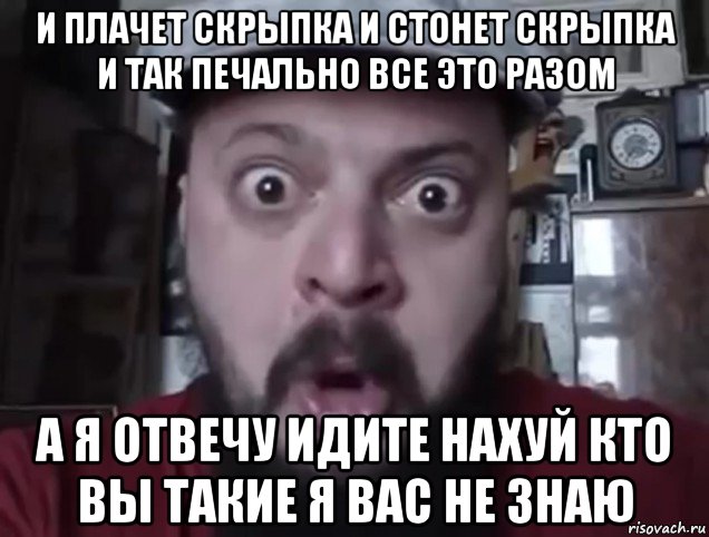 и плачет скрыпка и стонет скрыпка и так печально все это разом а я отвечу идите нахуй кто вы такие я вас не знаю, Мем Виктор Пузо