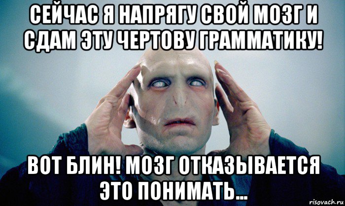 сейчас я напрягу свой мозг и сдам эту чертову грамматику! вот блин! мозг отказывается это понимать..., Мем  Волди