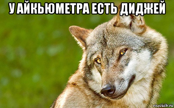 у айкьюметра есть диджей , Мем   Volf