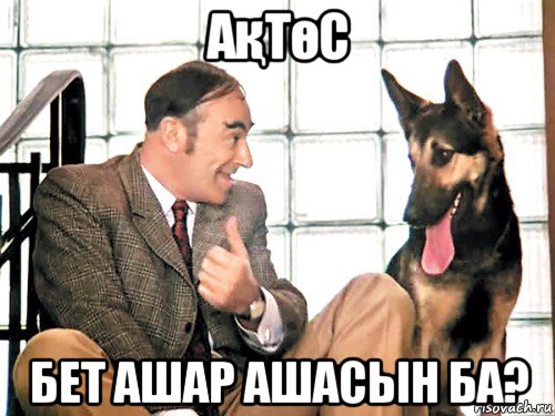 ақтөс бет ашар ашасын ба?, Мем Все украли