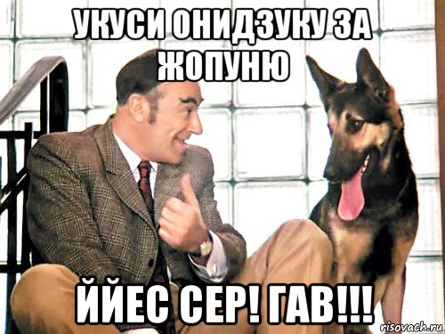 укуси онидзуку за жопуню ййес сер! гав!!!, Мем Все украли