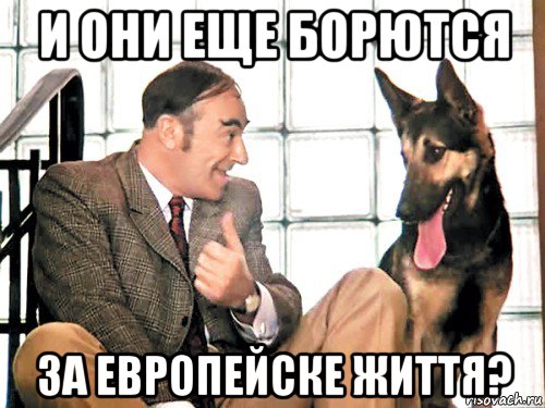 и они еще борются за европейске життя?, Мем Все украли