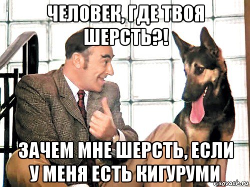 человек, где твоя шерсть?! зачем мне шерсть, если у меня есть кигуруми, Мем Все украли