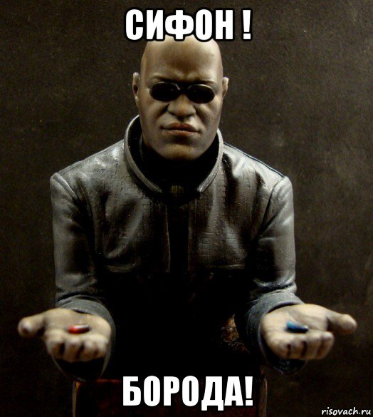 сифон ! борода!, Мем Vvv
