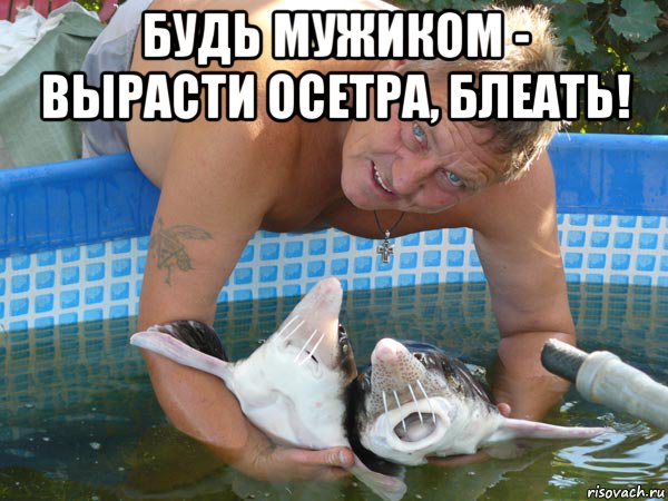 будь мужиком - вырасти осетра, блеать! , Мем Вырасти осетра