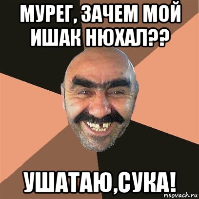 мурег, зачем мой ишак нюхал?? ушатаю,сука!, Мем Я твой дом труба шатал