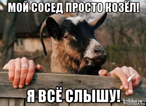 мой сосед просто козёл! я всё слышу!, Мем За забором хрен слаще