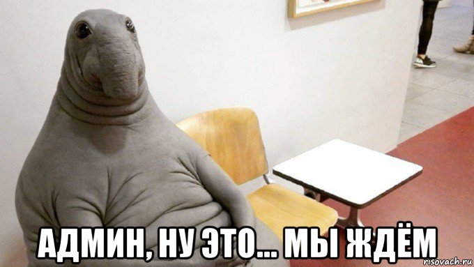  админ, ну это... мы ждём