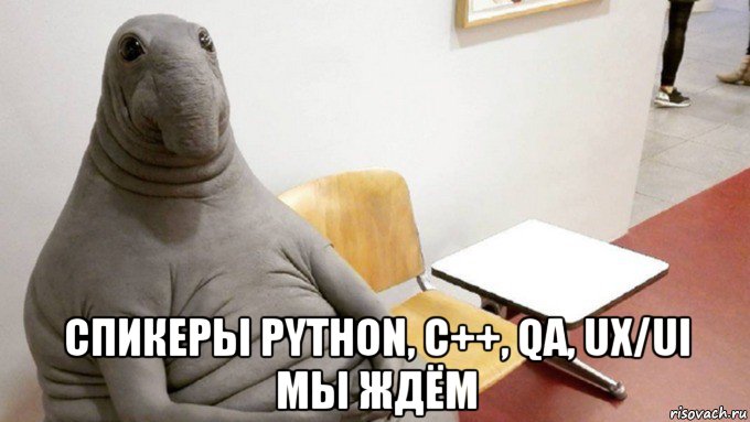 cпикеры python, c++, qa, ux/ui мы ждём