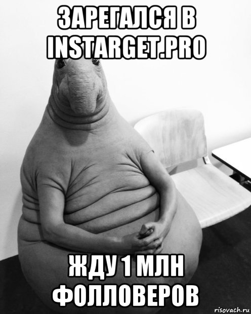 зарегался в instarget.pro жду 1 млн фолловеров, Мем  Ждун