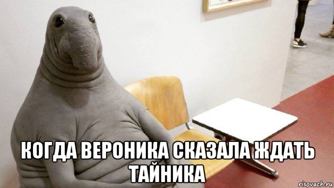  когда вероника сказала ждать тайника