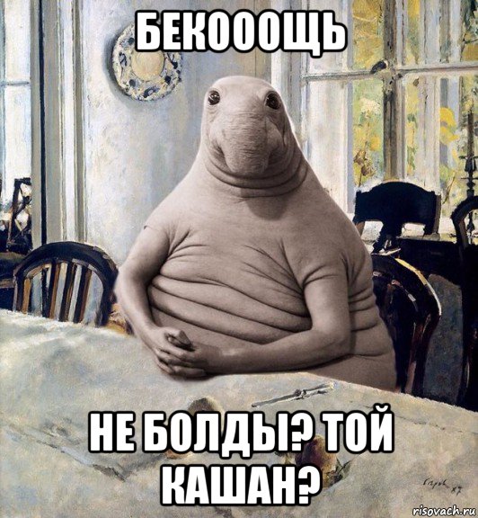 бекооощь не болды? той кашан?