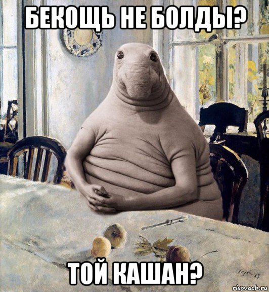 бекощь не болды? той кашан?