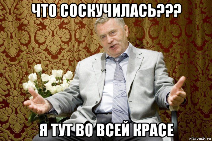 что соскучилась??? я тут во всей красе