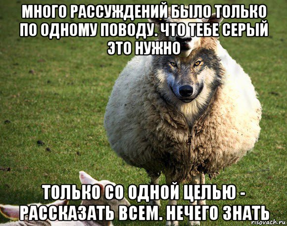 много рассуждений было только по одному поводу. что тебе серый это нужно только со одной целью - рассказать всем. нечего знать, Мем Злая Овца