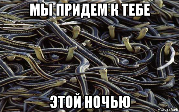 мы придем к тебе этой ночью, Мем Змеи