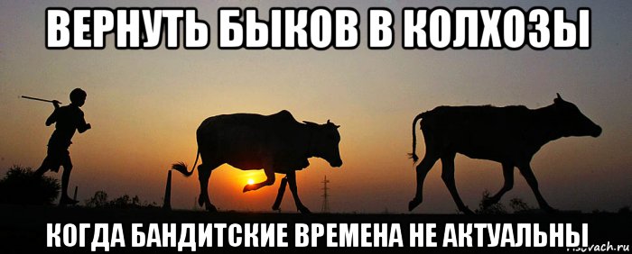 вернуть быков в колхозы когда бандитские времена не актуальны, Мем Зов колхозника call of kolhoznick