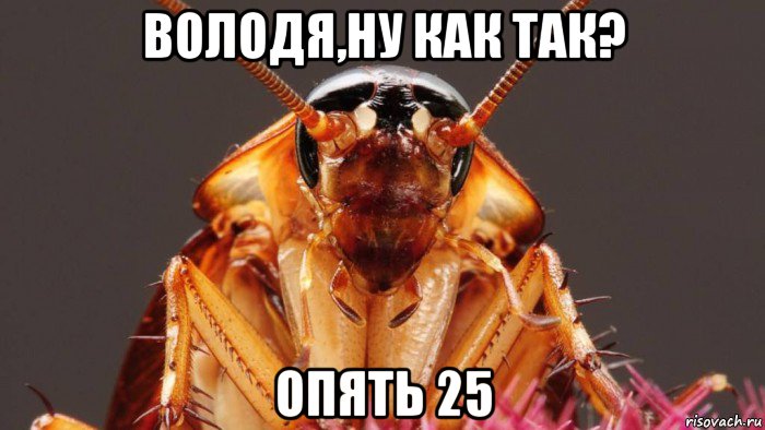 володя,ну как так? опять 25