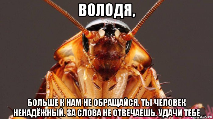 володя, больше к нам не обращайся. ты человек ненадёжный. за слова не отвечаешь. удачи тебе