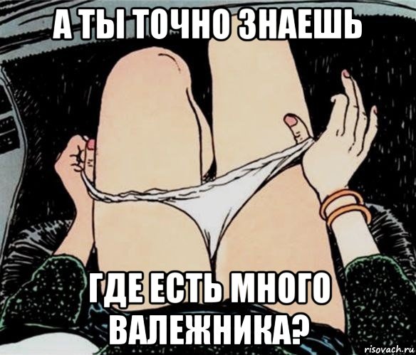 а ты точно знаешь где есть много валежника?, Мем А ты точно