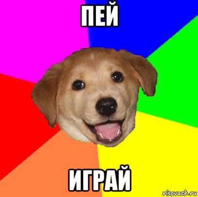 пей играй, Мем Advice Dog