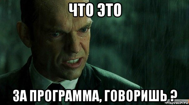 что это за программа, говоришь ?