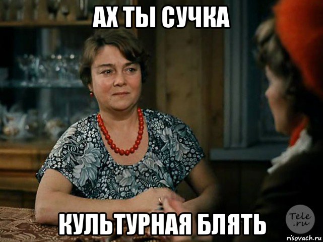 ах ты сучка культурная блять