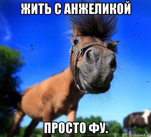 жить с анжеликой просто фу.