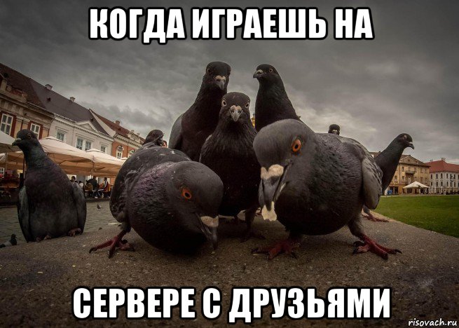 когда играешь на сервере с друзьями