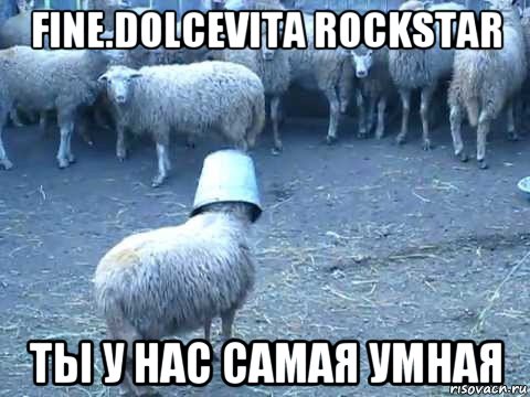 fine.dolcevita rockstar ты у нас самая умная