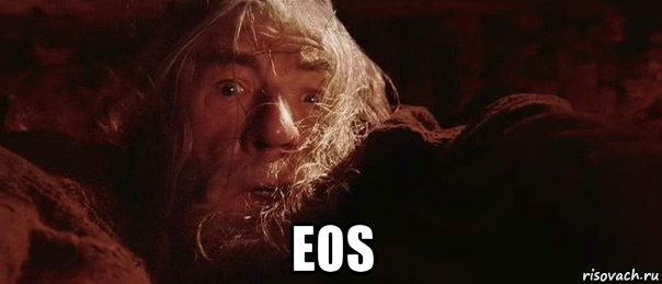  eos, Мем бегите глупцы