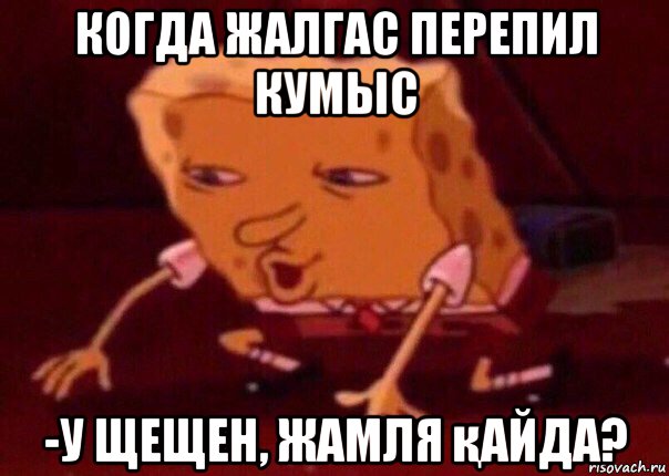 когда жалгас перепил кумыс -у щещен, жамля қайда?, Мем    Bettingmemes