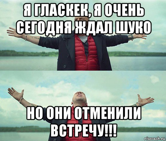 я гласкек, я очень сегодня ждал шуко но они отменили встречу!!!, Мем Безлимитище