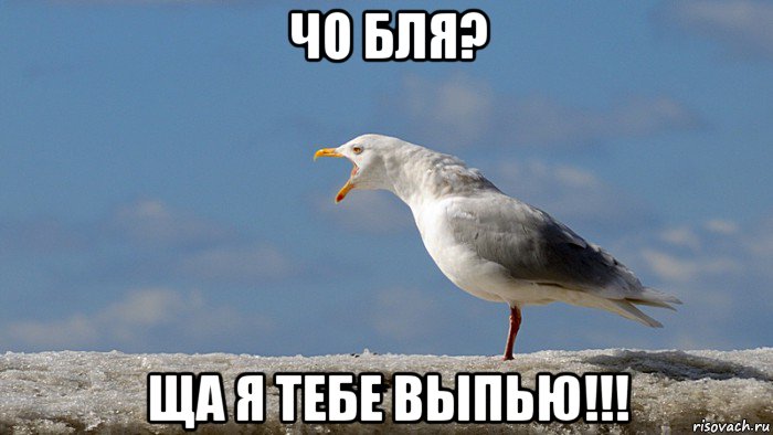 чо бля? ща я тебе выпью!!!