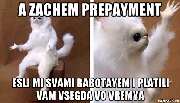 a zachem prepayment esli mi svami rabotayem i platili vam vsegda vo vremya, Мем Чучело кота