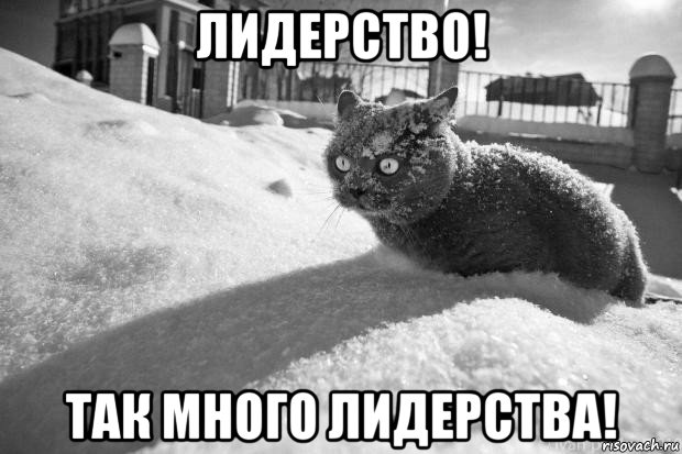 лидерство! так много лидерства!