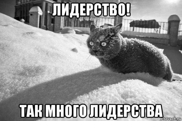 лидерство! так много лидерства